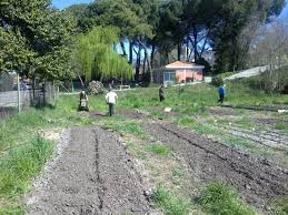 An organic raised bed garden starts with organic soil. Make Your Garden Organic All You Need To Know Gardening On
