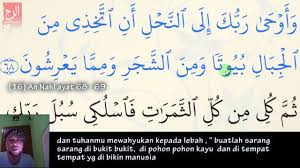 Here it is being reassured that allah does not leave alone those who strive in his cause. Tafsir Qur An Surah An Nahl 16 68 69 By Almadinahpt