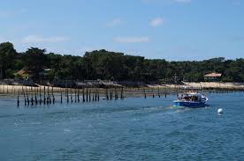 L Escale Restaurant Cap Ferret Bassin D Arcachon 33 Dans La Cuisine De Francoise Bassin D Arcachon Cap Ferret Arcachon