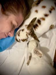 He is a rambunctious one. We haven't named him yet.