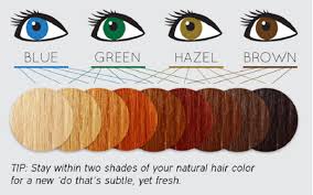 4.0 out of 5 stars 72. Argan Oil Hair Color For Pennies Moroccan Hammam Natural Beauty Care