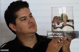 463 Art Velez Stock Photos, High-Res Pictures, and Images