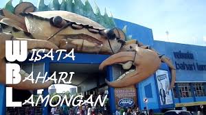 We did not find results for: Wbl Wisata Bahari Lamongan Screamfull Youtube