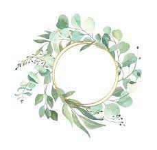 Eucalyptus Wreath Clipart Png Greenery Frame Watercolor Etsy In 2021 Leaf Clipart Wreath Watercolor Frame Wreath