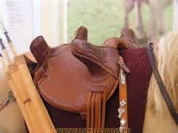 Ancient Horse Saddles Yahoo Image Search Results Saddles Horse Saddles Horse Costumes
