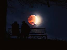Imagine a beautiful couple taking a sensual bath together. Couple Moon Silhouette Moonlight Bench Park Lovers Romantic Romance Relationship Together Pikist