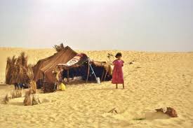 Vernacular Architecture Wikipedia The Free Encyclopedia Vernacular Architecture Architecture Bedouin Tent