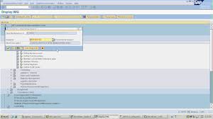 sap company company code chart of accounts account group gl master live demo