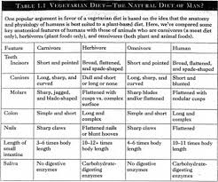 humans are herbivores misconceptions about diet all