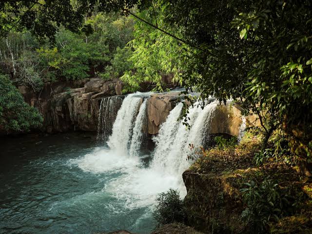 The Ultimate Cardamom Mountains Travel Guide: Cambodia's Last Wild Frontier
