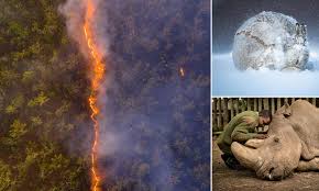 Native stories say that the lady was engaged to a man who was off to protect their village before they wed. Wildlife Photo Drone Shot By Steve Irwin S Son Shows Fire Ripping Through Australian Bush Daily Mail Online