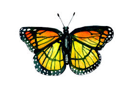 Free for commercial use high quality images The Beautiful Craft Bundle Bundle Creative Fabrica