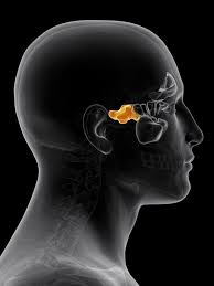 Sphenoid Sinusitis One Of The Most Dangerous Sinus Infection Sinus Infection Sinusitis Sinus Headache