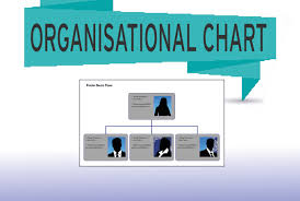Alonsoi I Will Create A Pictorial Org Chart For Your Organisation For 5 On Www Fiverr Com