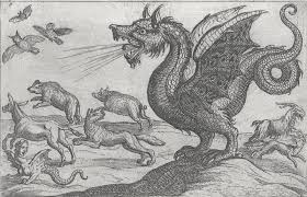 Paul Pindar On Instagram Current Mood A Dragon Chasing All Sorts Of Beasts Etched By Antonio Tempes Medieval Art Dragon Illustration Animal Illustration