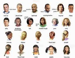 English For Beginners Hair Types Learn English English Vocabulary Hairstyle Names