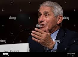 Anthony Paquet's Instagram, Twitter & Facebook