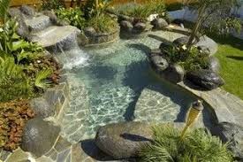 Inviting Small Pools Guru Habits Small Pool Design Backyard Pool Pool Landscaping