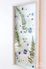 Dried flowers wall art canada. Pressed Flower Art How To Press Flowers Crafts By Amanda
