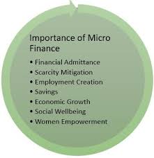 Definition of microfinance in the definitions.net dictionary. What Is Micro Finance Definition Process Of Registration And Channels The Investors Book