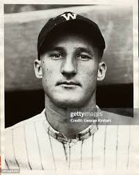 29 L Goslin Stock Photos, High-Res Pictures, and Images