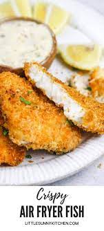 The perfect air fryer should be convenient, multifunctional, and easy to use. Air Fryer Fish Fillet Recipe Crispy Crunchy