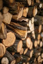 Only dead or downed trees may be cut for firewood Free Photo Cut Firewood Stuck On Each Other In The Firewood Rack