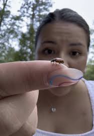 Sami Murphy (@sami_murphyy)