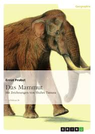 Ob und wann dies gelingt, steht aber in den sternen. Das Mammut Grin