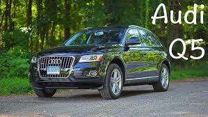 Image result for Azorean Green 2016 Q5