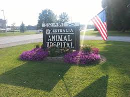 Maybe you would like to learn more about one of these? All Pets Animal Hospital Llc Home Facebook