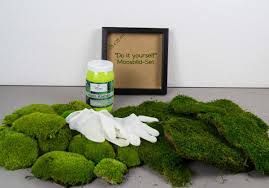 Moosbild Diy Set Do It Yourself Wandbild Moosbilder Moos Und Mooswand
