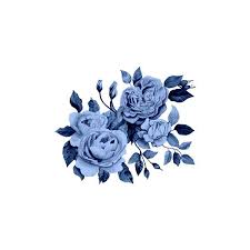All png images are free unlimited download and easy to use. Les Roses Bunga Biru Gambar Gambar Bunga