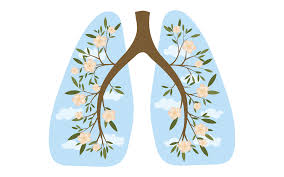 human lungs in the shape of a plant