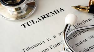 5 penyakit yang tidak menyebarkan jalan yang kami digunakan untuk berfikir. Awas Ini 7 Penyakit Yang Disebabkan Oleh Tikus