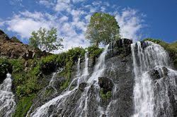 Almost files can be used for commercial. Nature Wikipedia