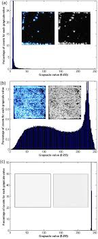 the gray scale bar chart analysis and luminance results of