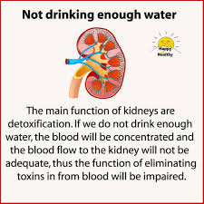 Pin By Phoenix On Healthy Diet Not Drinking Enough Water Healthy Happy Kidney Health