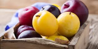 Comment Faire Germer Un Noyau De Prune
