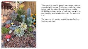 Photos, art, growing tips, sales/trades, news, stories. Brody S Lovely Low Cost Succulent Garden Debra Lee Baldwin