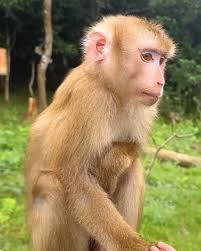 Why she look so sad but nice skin