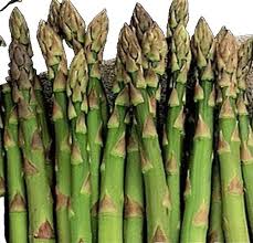 Image result for Asparagus radiatus