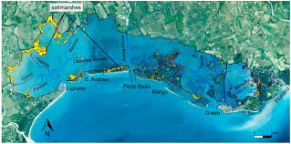 18 enero, 2020 a las 11:09 pm. Water Free Full Text Lagoon Sediment Dynamics A Coupled Model To Study A Medium Term Silting Of Tidal Channels Html