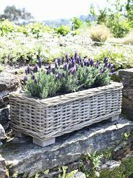 Maybe you would like to learn more about one of these? Rattan Planter Trough Large Trough Planters Nordic House