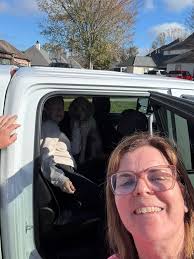 For those that immediately jumped