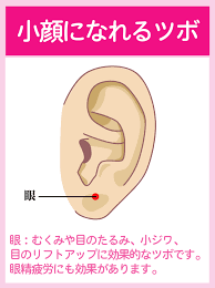 小顔 美肌になれる美容に効果的な耳つぼ ダイエットなら美wise 耳つぼダイエット 美容 体 ツボ