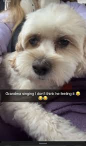 Received a call this morning from Mary Simpson, David Simpson suffered a  stroke late last night and is at Hurley Medical Center. From what she told  me this was not a TIP (