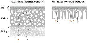 General Intro To Forward Osmosis Membranes And Processes