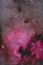 North America Nebula In Cygnus The Swan Space Stars Nebula Space Pictures