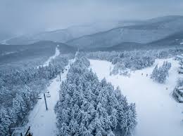 ❄🤯 It's getting deep up here folks!...